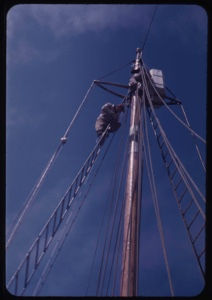 Image of Donald MacMillan and ? atop rigging