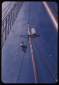 Image: Peter Gray in rigging