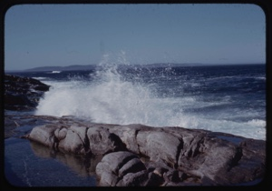 Image of Surf