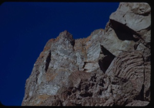 Image of Coastal cliff, detail