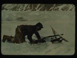 Image of Eskimo [Inuk] crawling behind seal screen