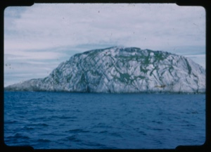 Image of Island: false cape