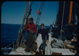 Image: Two crewmen holding halibut