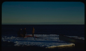 Image: Three crewmen on ice floe with walrus[?]