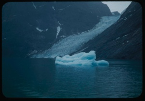 Image of Glacier and small iceberg