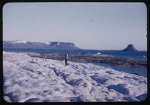 Image of Dying glacier