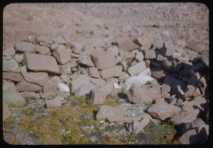 Image of Greely's campsite remains