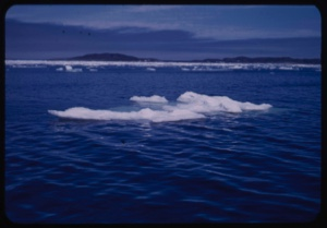 Image of Ice pans