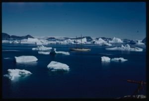 Image of Icebergs around the Bowdoin