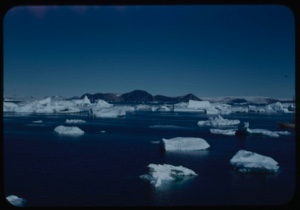 Image of Small icebergs