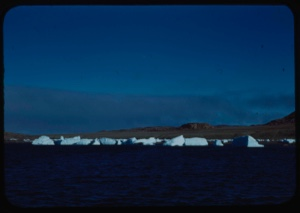 Image: Icebergs at fiord