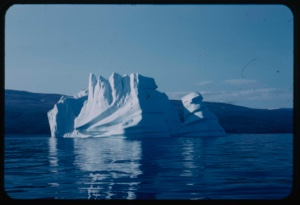 Image of Iceberg, "Vic Hardwood Forest"