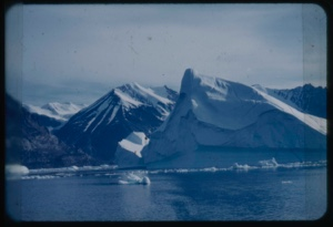 Image: Icebergs. ”Typical coast”