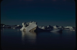 Image: Icebergs in midnight sun