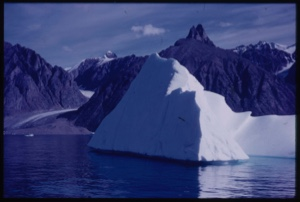 Image of Iceberg and dying glacier