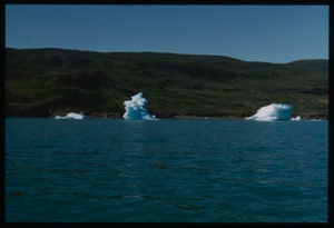 Image of Iceberg remains