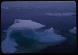 Image: Iceberg remains, detail