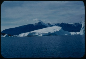 Image: Icebergs; glacier beyond