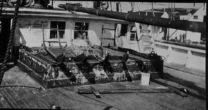 Image of Sledges on deck, SS Roosevelt