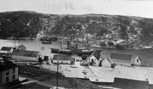 Image of SS Roosevelt in Battle Harbor