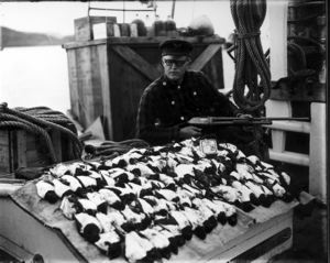 Image of Man with rifle and several dozen pelagic bird specimens