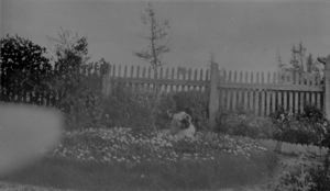 Image: Child in garden; picket fence