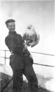 Image: Man holding snowy owl