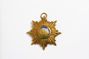 Image of gold star medal, Persia's Learning of the First Order, to Peary