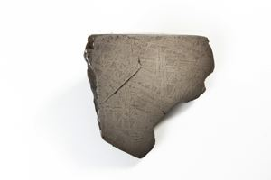 Image: Fragment of meteorite Ahnigito