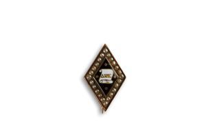 Image of Robert Peary's fraternity pin from Delta Kappa Epsilon, Bowdoin College
