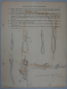 Image of Drawing: Knots used by Polar Eskimos