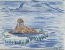 Image of [walrus on ice; notecard]