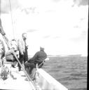 Image of Crew relaxing on deck 