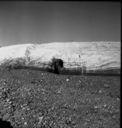 Image of Ice face and moraine, Twin Glacier