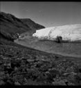 Image of Ice face and moraine, Twin Glacier
