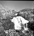 Image of Waterfall habitat: sax. oppos., cerastium alp., papaver, Lychnis