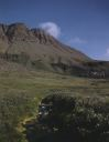 Image of Arctic meadow and basalt mountain