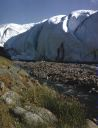 Image of Glacier face; plant life in foreground. 78 20' N