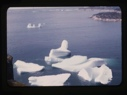 Image of iceberg remains
