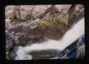 Image of waterfall and mosses