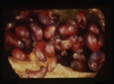 Image of poppy seeds