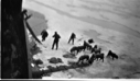 Image of Sledge being lifted onto/from ship; men and dogs below