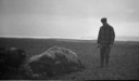 Image of Musk oxen and man with rifle