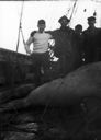 Image of 4 men standing behind dead walrus on vessel 