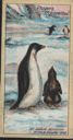 Image of Cigarette Card, An Adelie Penguin with a Young One