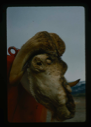 Image of Skull of dead muskox mounted on US Army weasel at Centrum Lake.
