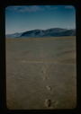 Image of Terrace of Centrum Lake, NE Greenland. Note footprints in loose sand.