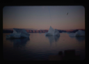 Image of Icebergs floating in Polaris Bay.