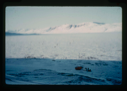Image of View of weasel and sled on Centrum Lake which has a snow and ice cover.