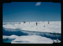 Image of Crew on large ice pack (2 copies)